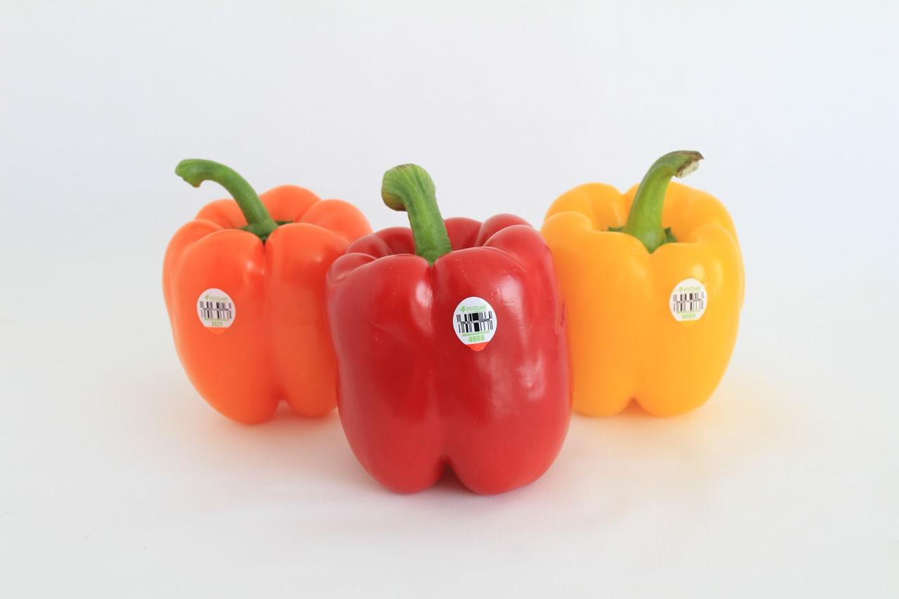 Doozland Farms Bell Peppers