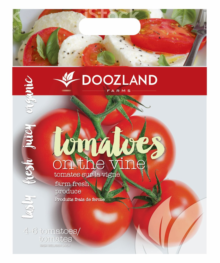 Tomatoes on Vine